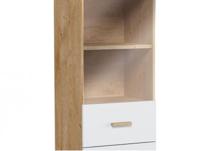 Bücherregal Vitrine Vitrinenschrank Glasschrank Regal Holz Schrank Bücherschrank